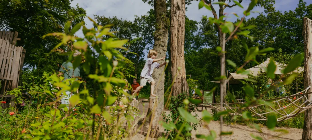 Spelen in de natuur