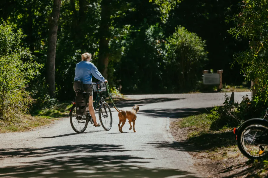 Fietsmethond campinggeversduin