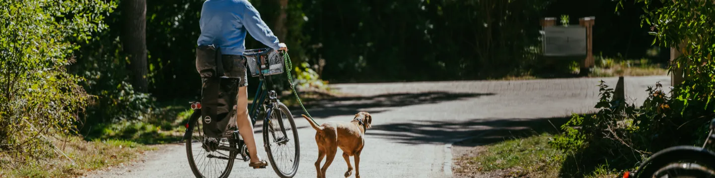 Fietsmethond campinggeversduin 1