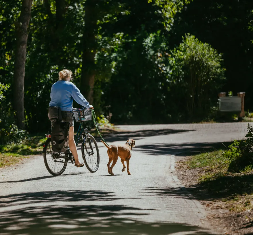 Fietsmethond campinggeversduin 1